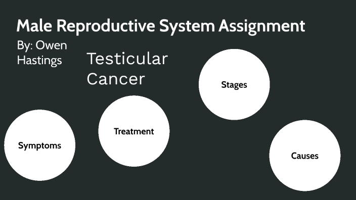 male reproductive system assignment slideshare