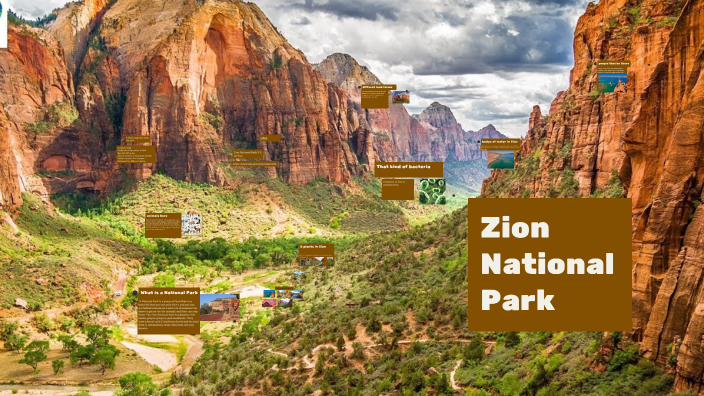 by Jacaden Reed on Prezi