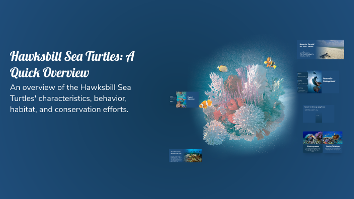Hawksbill Sea Turtles: A Quick Overview by Emmanuel Gutierrez on Prezi