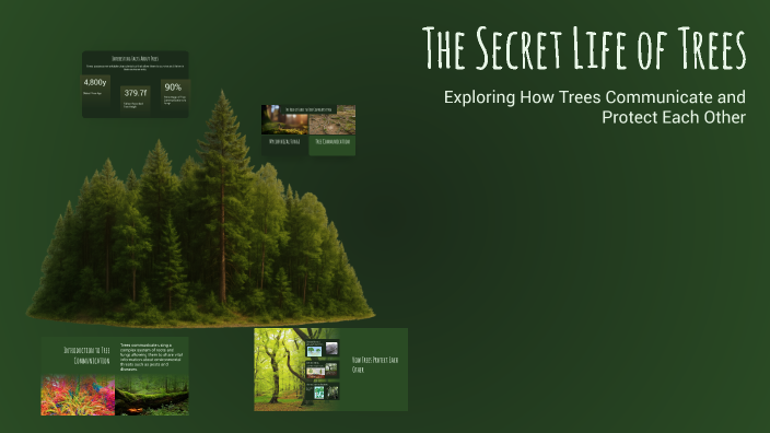The Secret Life of Trees by Adam Kubasiewicz on Prezi