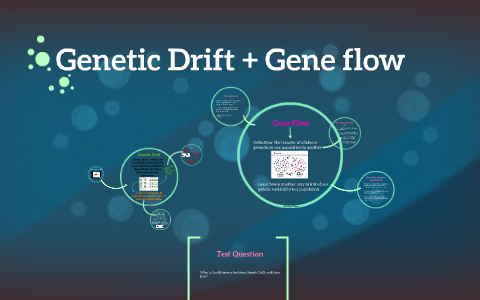 Genetic Drift + Gene flow by Ashley Myers