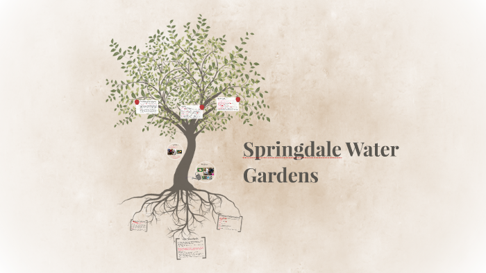Springdale Water Gardens By Olivia Smith On Prezi