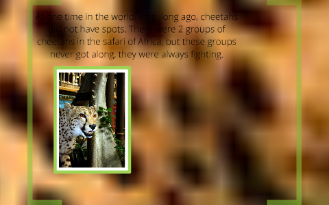 how the cheetah got its spots by Katie McMahan