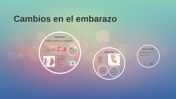 Cambios digestivos, urinarios y emocionales en el embarazo by on Prezi