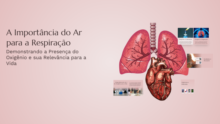 A Importância do Ar para a Respiração by Guilherme Francisco Silva Camp ...