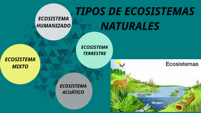 TIPOS DE ECOSISTEMAS NATURALES By Veronica Contento On Prezi