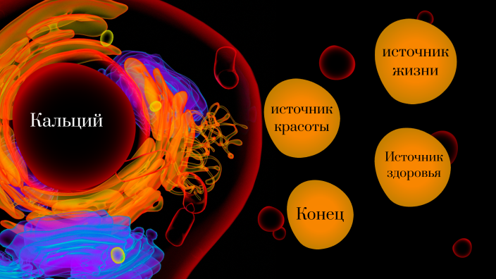 Проект на тему кальций источник жизни здоровья и красоты