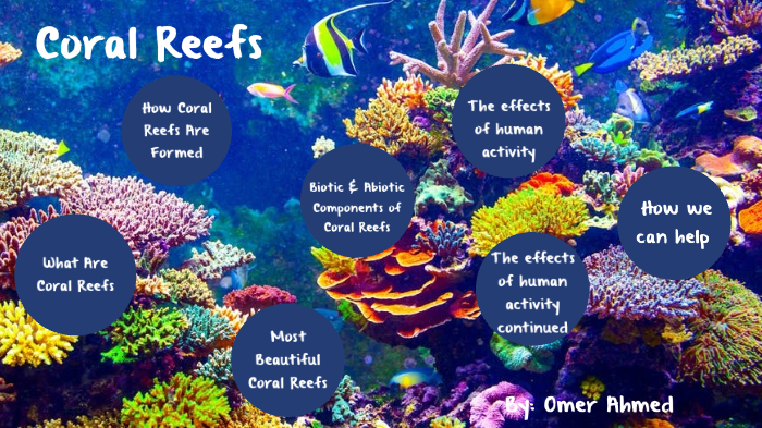 Coral Reef Living Or Nonliving - Francesc Blanca