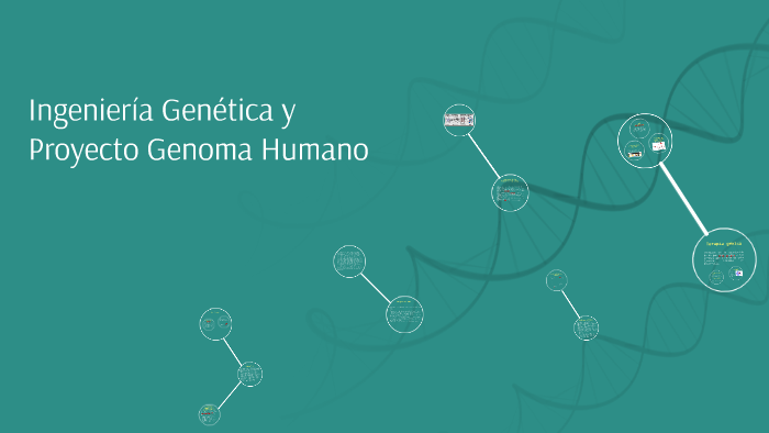 Ingenieria Genetica Y Proyecto Genoma Humano By Jorge Juan Forner