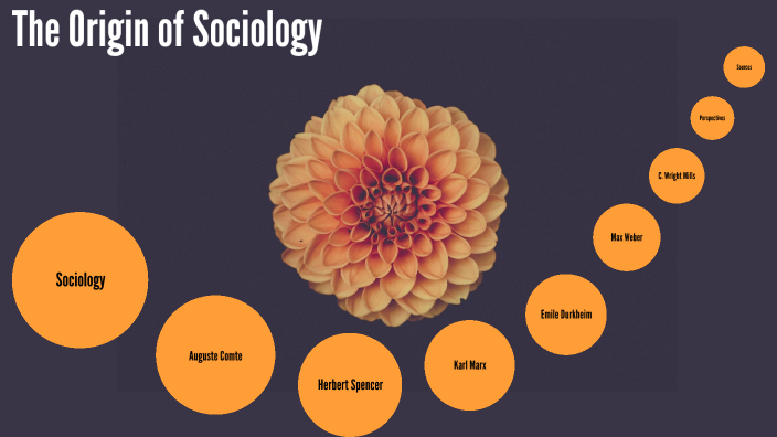 the-origin-of-sociology-by-alexis-elliott