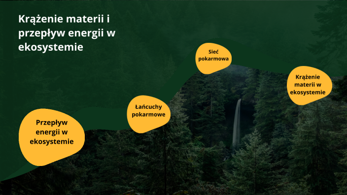 Krążenie materii i przepływ energii w ekosystemie by Martyna
