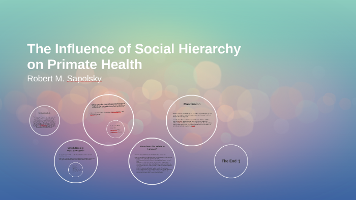 The Influence of Social Hierarchy on Primate Health by Aimy Day on Prezi