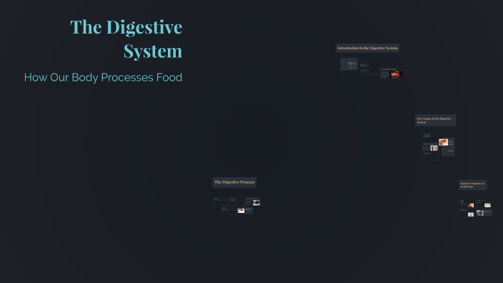 The Digestive System by Rikeshplayz0489 Ye on Prezi