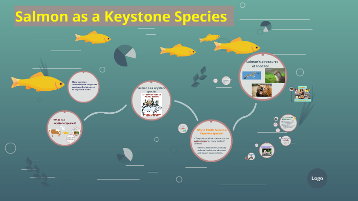 Conceptual diagram illustrating how the loss of a keystone species