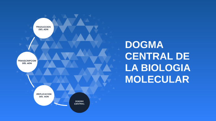 DOGMA CENTRAL DE LA BIOLOGIA MOLECULAR By Vanessa Velez On Prezi