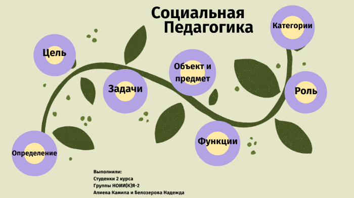 Социальная педагогика василькова ю. Социальное воспитание это мудрик. Социальная педагогика что это. Социальное воспитание это в педагогике. Отрасли социальной педагогики.
