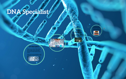 DNA Specialist by emily thornton