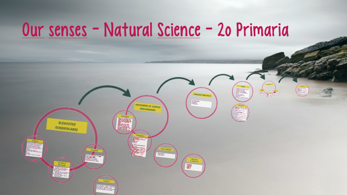 Our senses - Natural Science - 2º Primaria by María Carmen Ayala