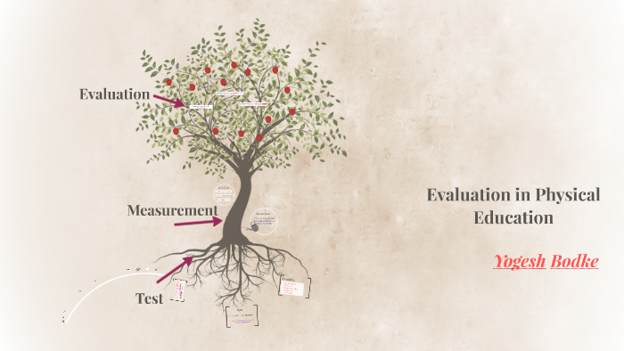 EVALUATION DEFINITION IN PHYSICAL EDUCATION visual data 3
