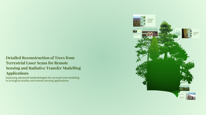 Detailed Reconstruction of Trees from Terrestrial Laser Scans for ...