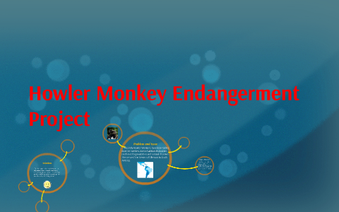 Howler Monkey Endangerment Project by Miles Dintzner on Prezi