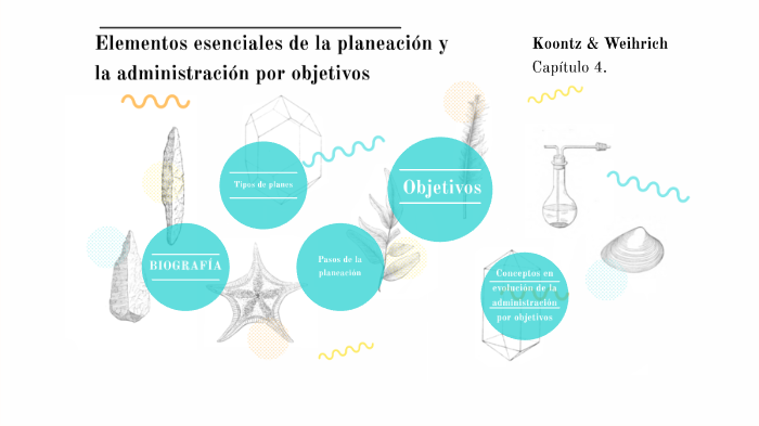 Elementos esenciales de la planeación y la administración por objetivos ...