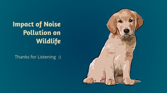Impact of Noise Pollution on Wildlife by Riddhi Sivaramakrishnan on Prezi