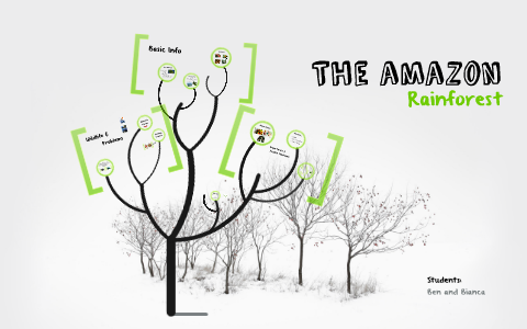 The Amazon Rainforest by Bianca Minetto on Prezi