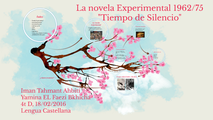 la novela experimental resumen