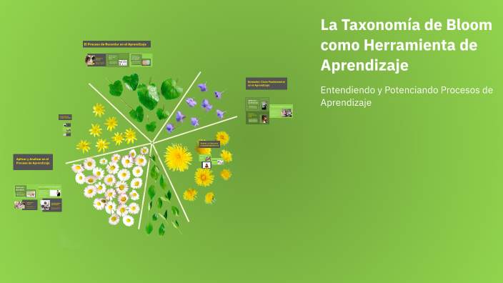 La Taxonomía de Bloom como Herramienta de Aprendizaje by Keyla Choez ...