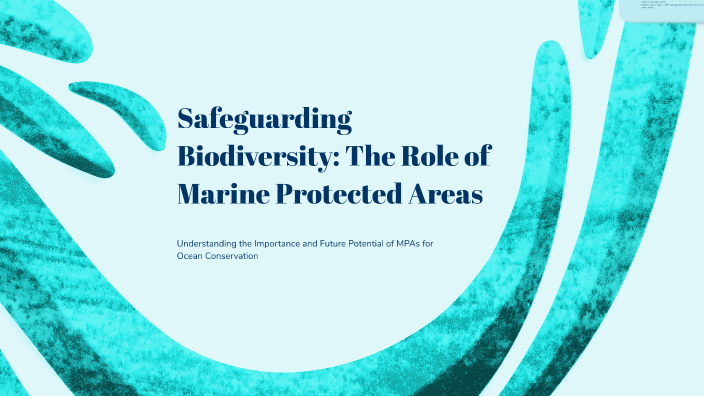 Safeguarding Biodiversity: The Role of Marine Protected Areas by Kam ...