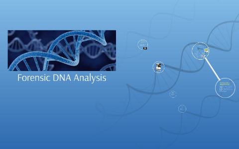 Forensic DNA Analysis By Monica Ivett On Prezi