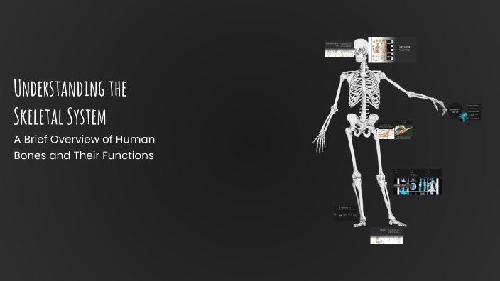 Understanding the Skeletal System by Aiden Grao on Prezi
