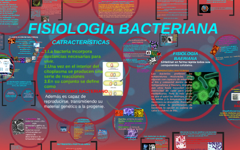 FISIOLOGIA BACTERIANA By Nahomy Franco On Prezi