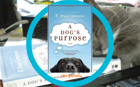 A Dog S Purpose Book Review By Emi Juchems