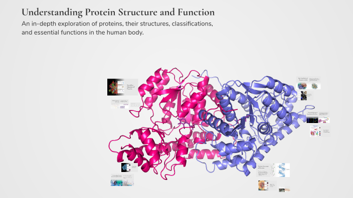Understanding Protein Structure and Function by Zeyad on Prezi