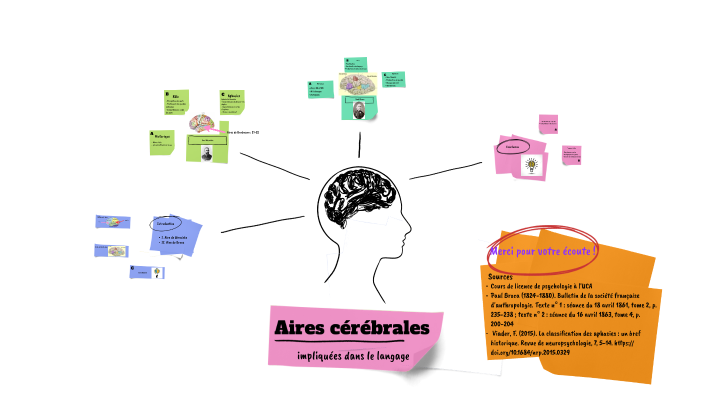 Les aires cérébrales impliquées dans le langage by Elise GUILHOT on Prezi