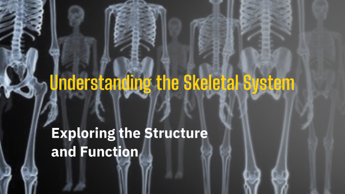 Understanding the Skeletal System by Jaydin Eisenman on Prezi