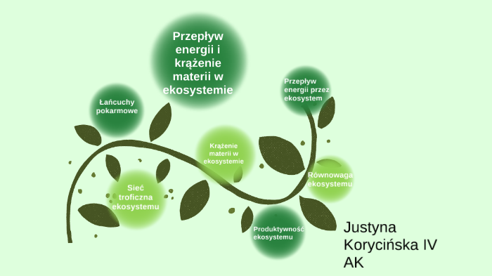 Przepływ energii i krążenie materii w ekosystemie by justyna Koryćińska
