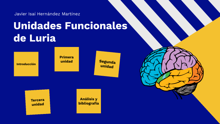Unidades funcionales de Luria by JAVIER ISAI HERNANDEZ MARTINEZ on Prezi