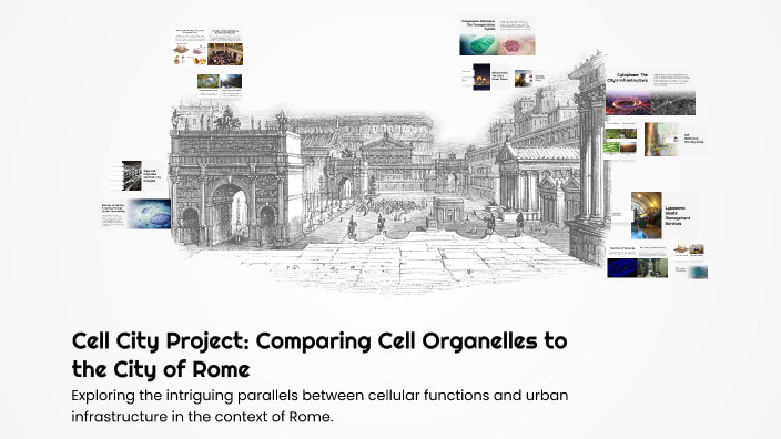 Cell City Project: Comparing Cell Organelles to the City of Rome by ...