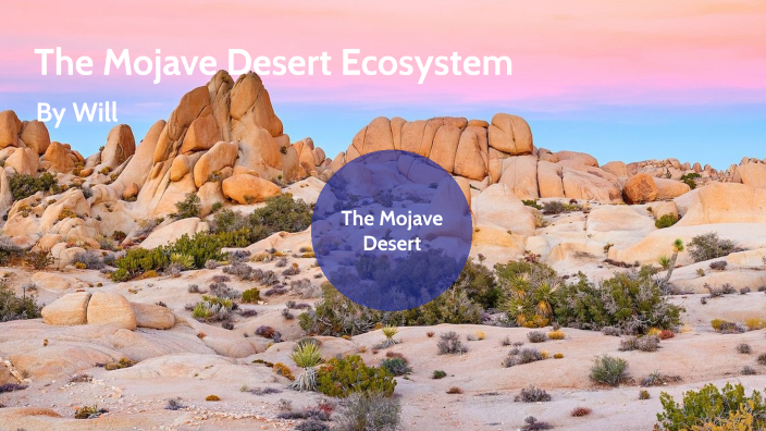 The Mojave Desert Ecosystem by Jason Cline