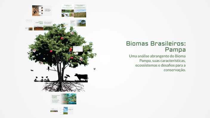 Biomas Brasileiros: Pampa by ana Costa on Prezi