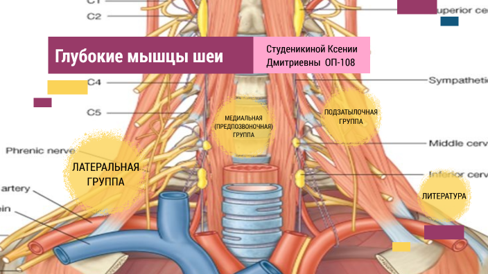 Латеральная логика