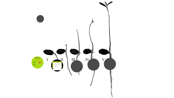 Welcome to the Labhah World by Luca Rivitti on Prezi