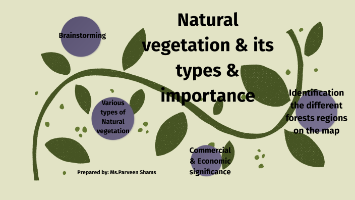 SLO#4.1-Natural vegetation & its types & importance by Parveen Shams