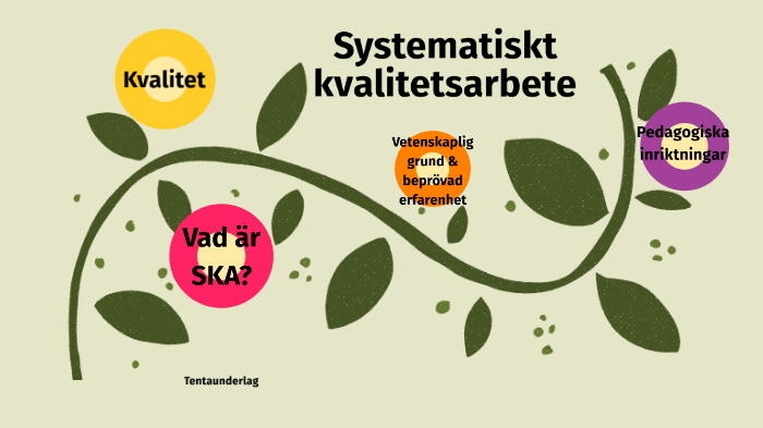 Systematiskt Kvalitetsarbete By Sophie Stattin On Prezi