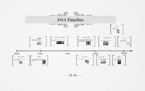 DNA Timeline by katy lawson