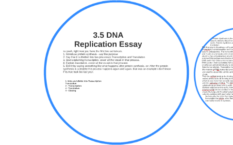essay on dna replication