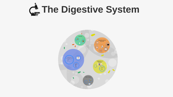 Digestive System by Megan Newbold on Prezi